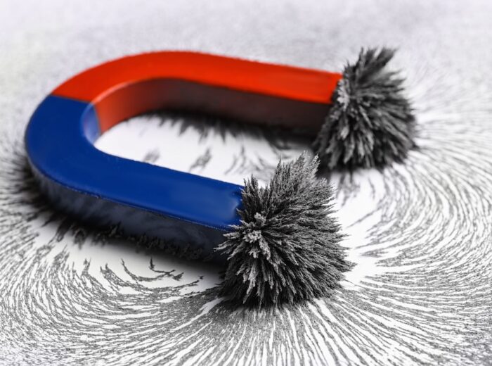 Red and blue horseshoe magnet with iron filings on white background